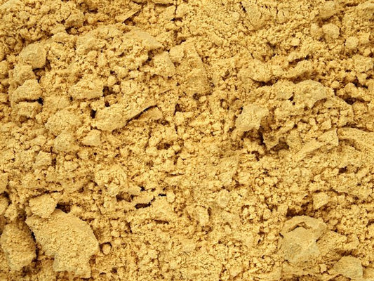 Gemahlener Teufelskot (Asafoetida) – 100 g